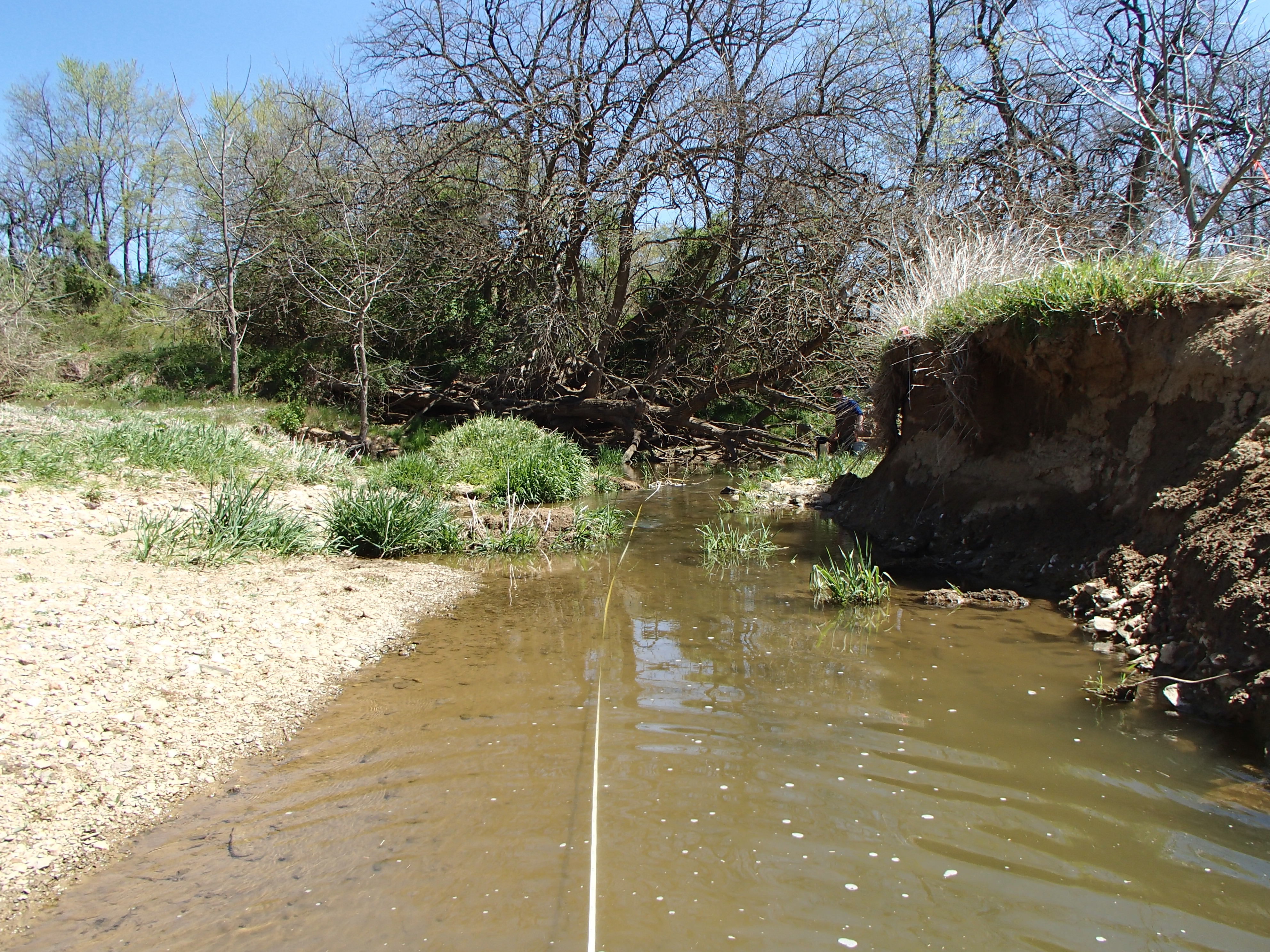 Field photo showing stream conditions at site PRFR-203-X-2016_Midpoint looking downstream